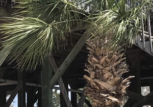 Spring Warrior Fish Camp #2 Located on the Gulf of Mexico in Perry
