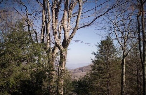 Charter Hills House | Less than 1 mile to Ski Beech Resort. Transferable club social membership.
