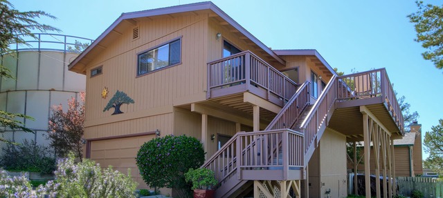 A Beautiful Tree Top Panorama in Cambria