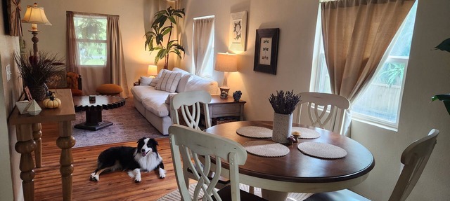 Bungalow on quiet street close to trendy cafes, pubs, and parks. Dogs welcome! in Orlando