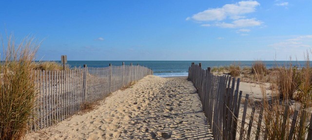 Downtown Dewey Beach Steps to Beach Park and Walk in Rehoboth Beach
