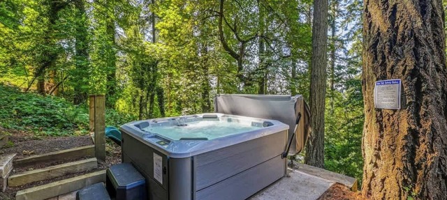 Forest-View Hot Tub 5 Min to UO Game Room in Eugene
