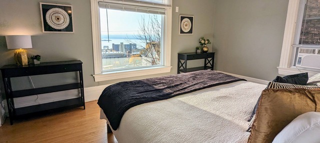 Mesaba View | Downtown with Gorgeous Lake Views in Duluth