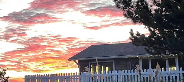Ocean-front Cedar Cabin, Dog friendly, Birdwatcher's paradise! in Long Beach