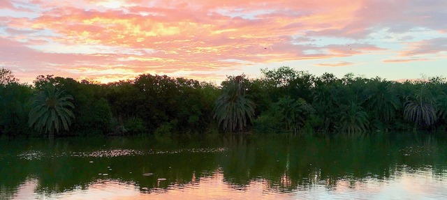 On the Water! Birdwatching in Progreso Lakes! in Progreso Lakes