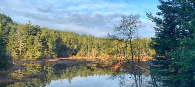 Otter's Pond Bed and Breakfast in Eastsound