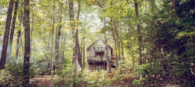 Peak Fall Experience -Cabin + Hot Tub Near Parkway in Floyd