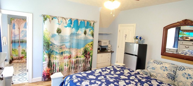 Queen Ruby Studio Suite, Kitchenette, Private bath, desk. Pets welocw in Hampton