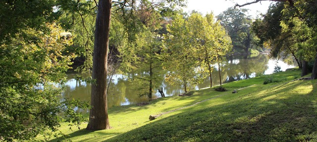 River Front Property on the Guadalupe River in New Braunfels, TX in New Braunfels