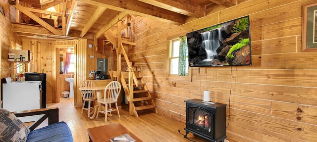 Rustic River Cabin 2 in Savanna