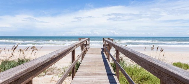 Seashell in Ponte Vedra