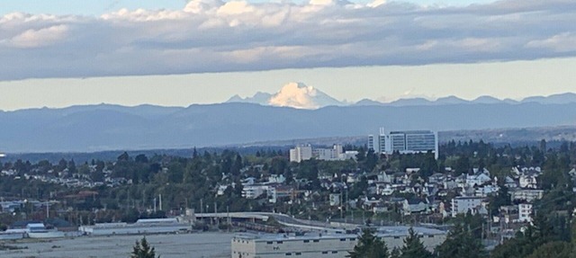 Spacious unit in historic neighborhood with mountain and downtown views in Everett