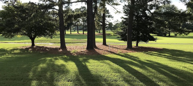 Stunning 1 Bedroom condo on River Golf Course Ninth Hole. in Williamsburg