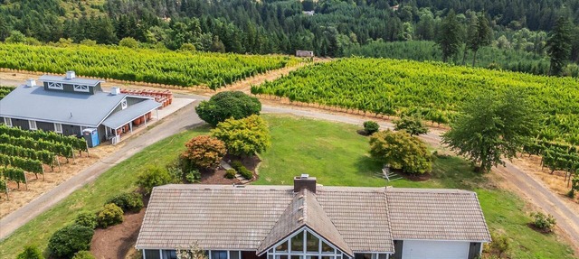 Stunning New Listing - Beckham Vineyard Guesthouse in Sherwood