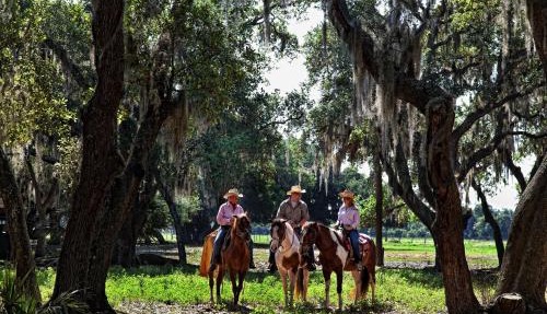 Westgate River Ranch Resort & Rodeo in River Ranch