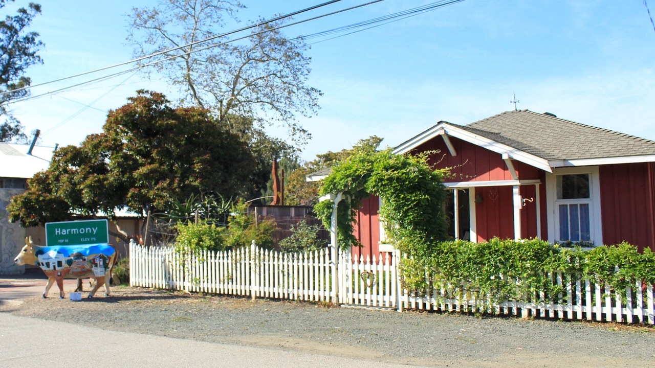 Photo of Outdoor in Harmony