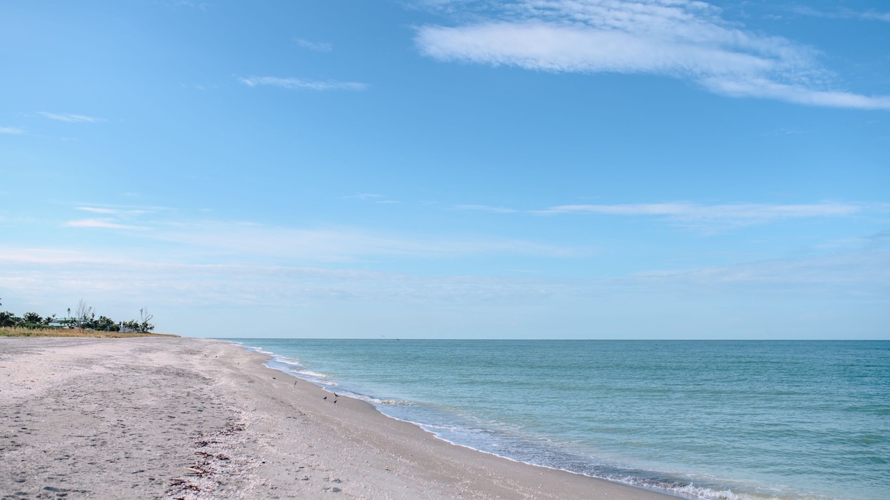 Photo of Others in Captiva
