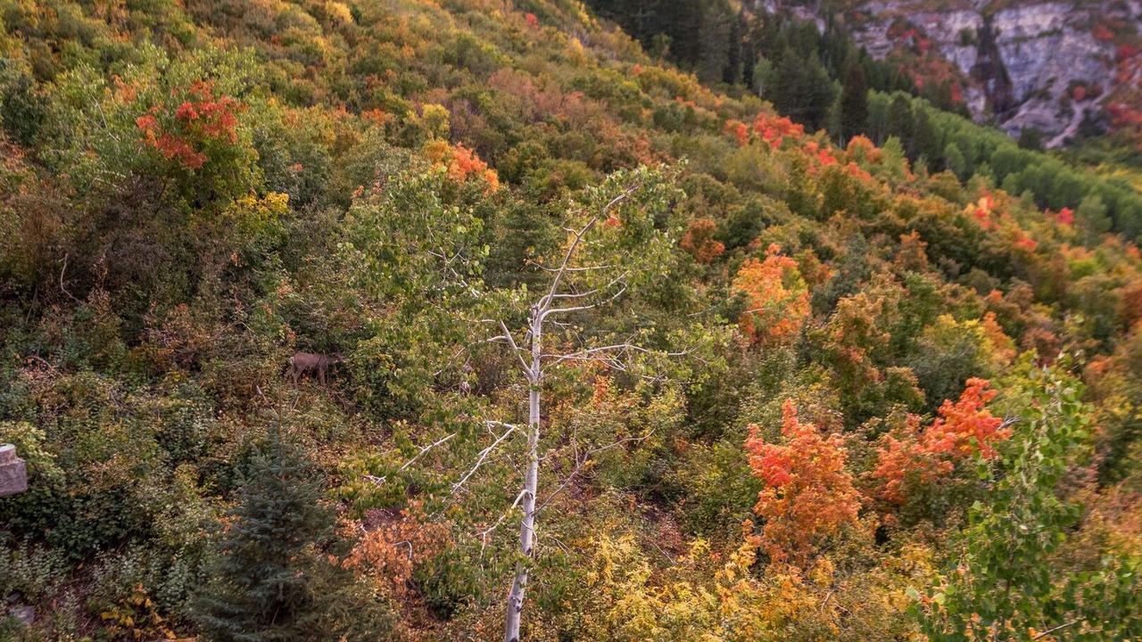 Photo of Outdoor in Sundance