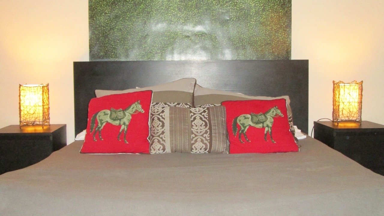 Photo of Bedroom in Helotes
