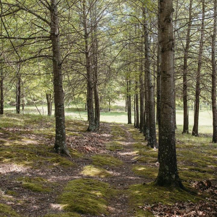 Photo of Others in Carbondale