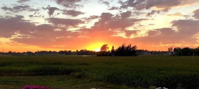 Experience-Glamping: Tranquil Farm Getaway in Lynden